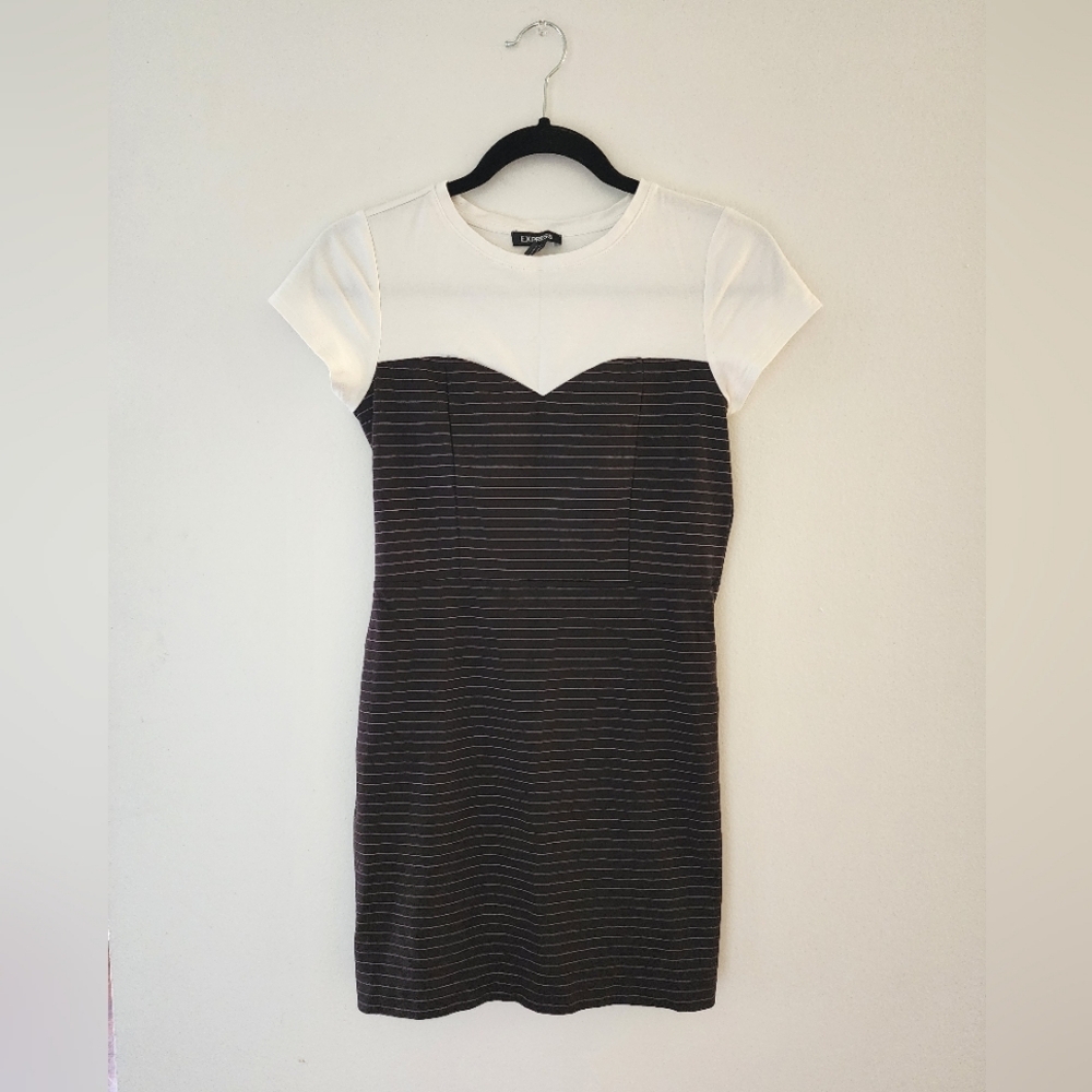 EXPRESS Bodycon Dress